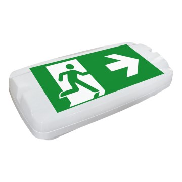 Fulgur 26201 - LED Núdzové svietidlo SAFEBOY LED/6W/230V IP65 6500K