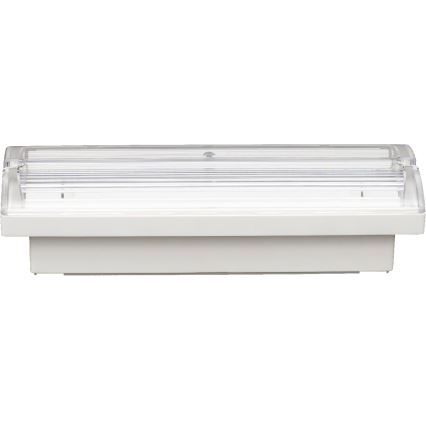 Fulgur s-43043 - LED núdzové svietidlo FIWA LED/230V 1500 mAh IP65