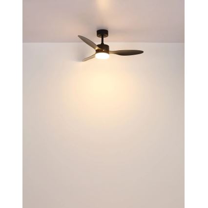 Globo - LED Stmievateľný stropný ventilátor LED/20W/230V 2700-6500K + diaľkové ovládanie