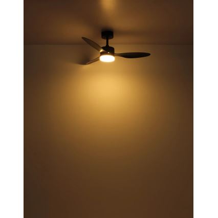 Globo - LED Stmievateľný stropný ventilátor LED/20W/230V 2700-6500K + diaľkové ovládanie