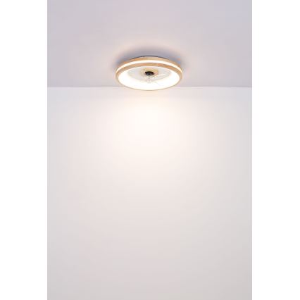 Globo - LED Stmievateľné stropné svietidlo s ventilátorom LED/30W/230V 2700-6500K hnedá + diaľkové ovládanie