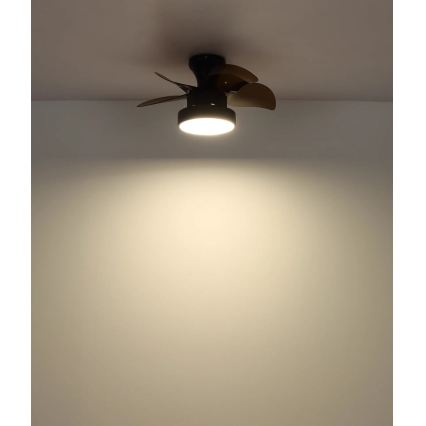 Globo - LED stmievateľný stropný ventilátor LED/22W/230V 3000/4500/6000K hnedý + diaľkové ovládanie