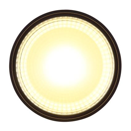 Globo - LED Stropné svietidlo LED/12W/230V 3000K