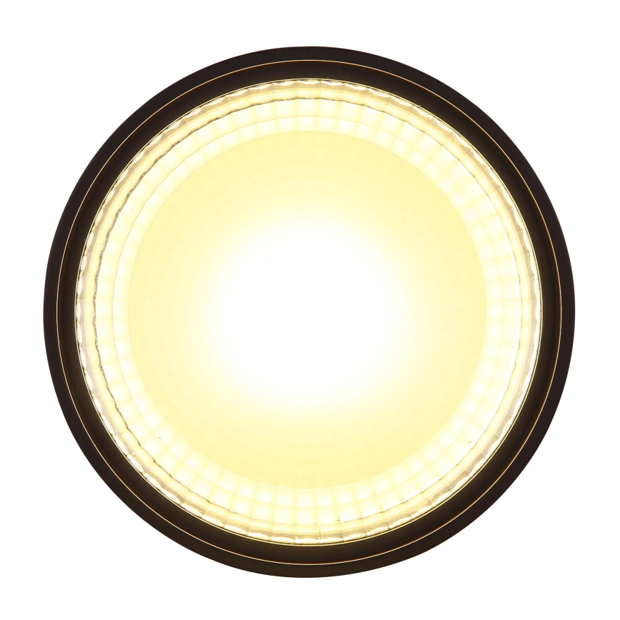 Globo - LED Stropné svietidlo LED/12W/230V 3000K