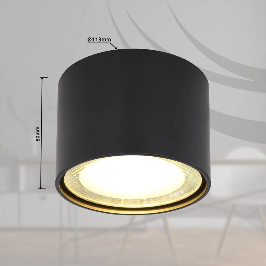 Globo - LED Stropné svietidlo LED/12W/230V 3000K