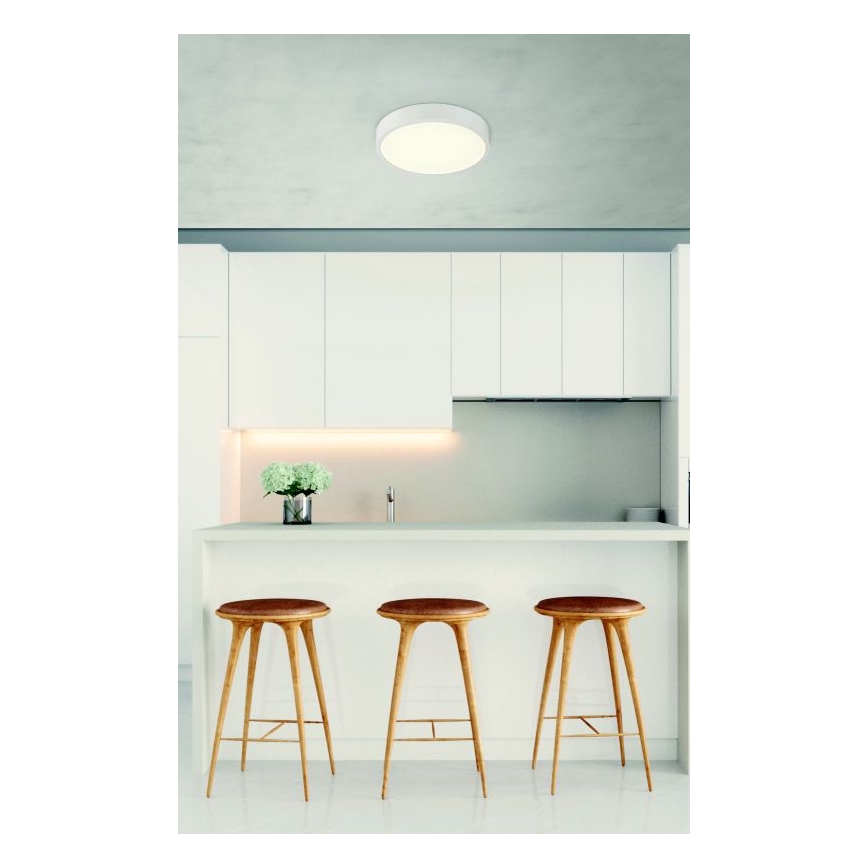 Globo - LED Stmievateľné stropné svietidlo LED/22W/230V