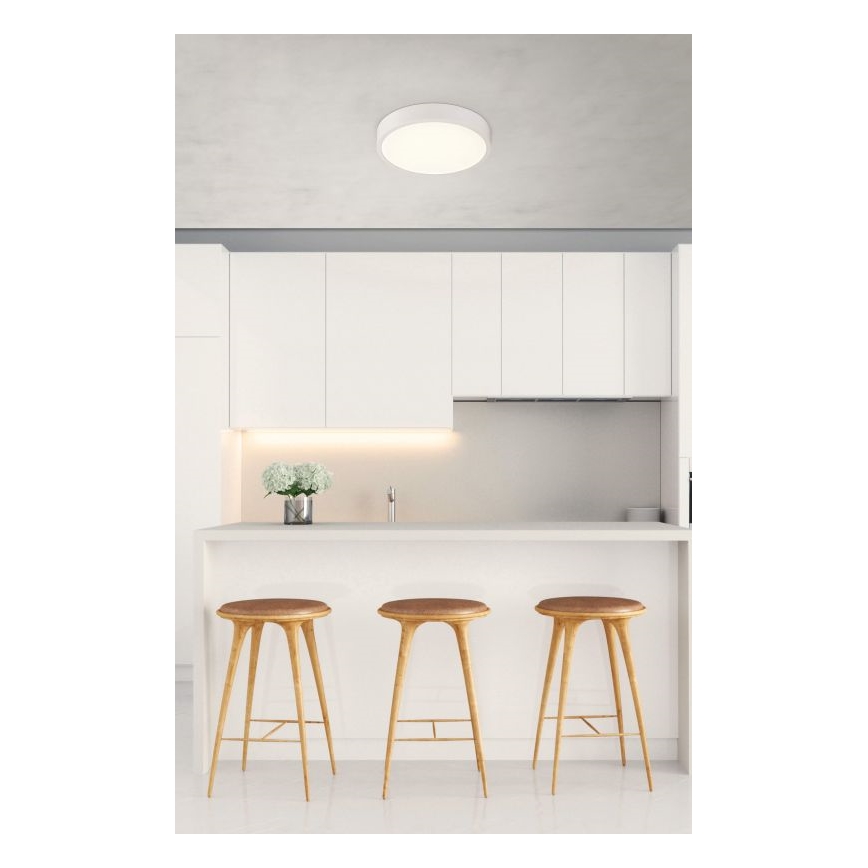 Globo - LED Stmievateľné stropné svietidlo LED/22W/230V