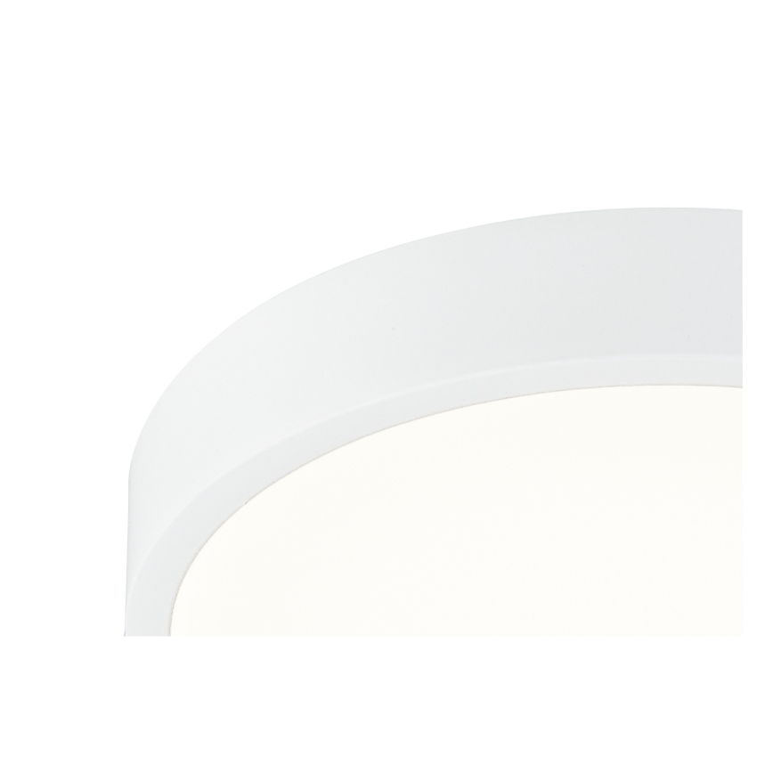 Globo - LED Stmievateľné stropné svietidlo LED/22W/230V