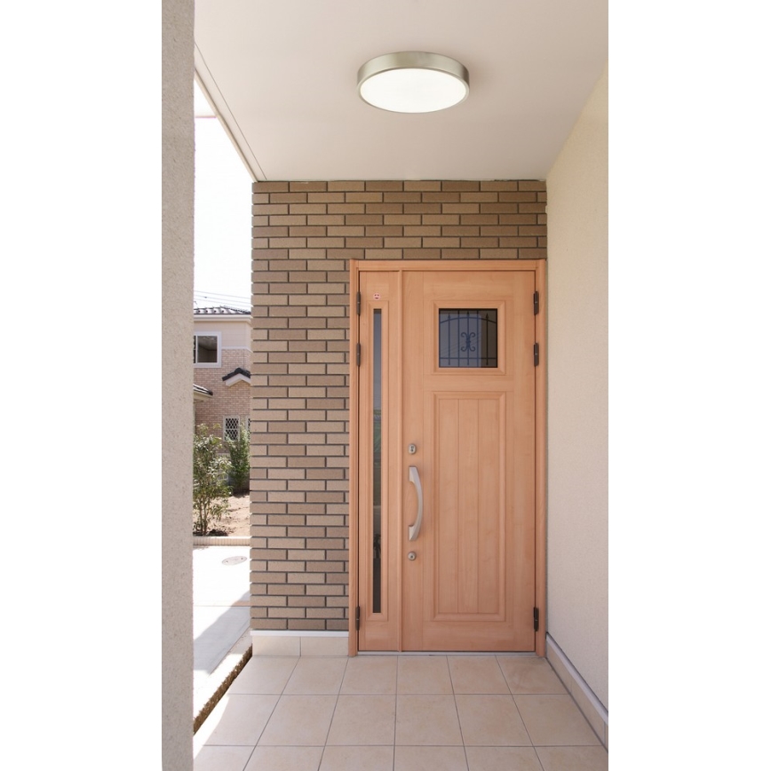 Globo - LED stmievateľné stropné svietidlo LED/28W/230V