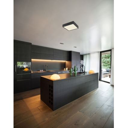Globo - LED Stropné svietidlo LED/15W/230V
