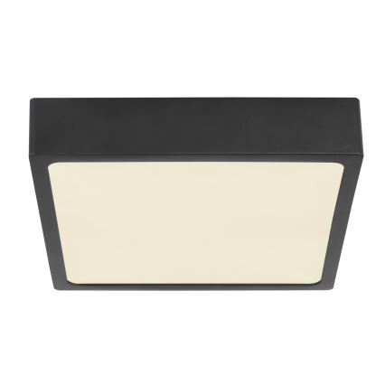 Globo - LED Stropné svietidlo LED/15W/230V