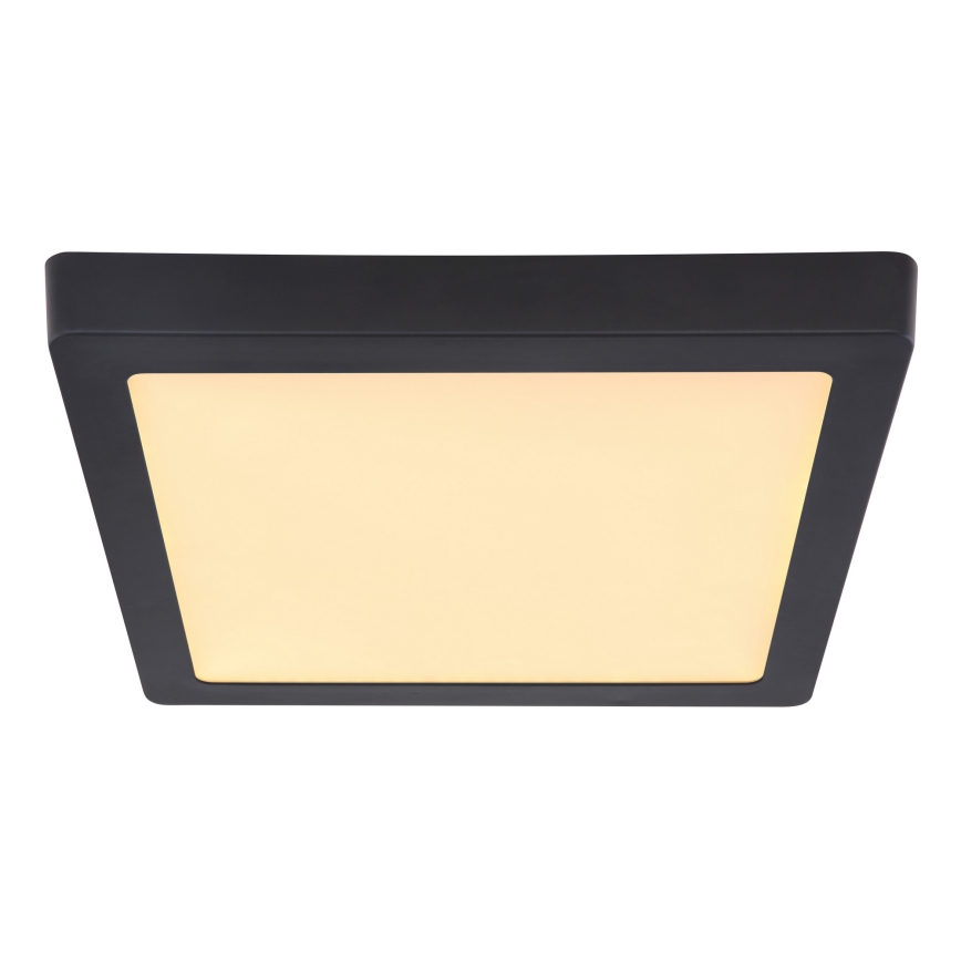 Globo - LED Stropné svietidlo LED/22W/230V