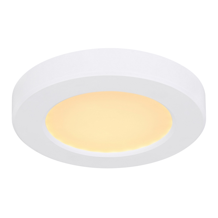 Globo - LED Stropné svietidlo LED/6W/230V 3000/4000/6500K biela