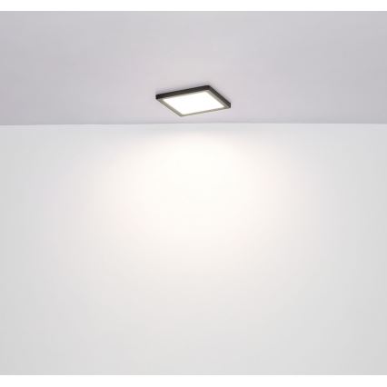 Globo - LED Stropné svietidlo LED/18W/230V 3000/4000/6500K čierna