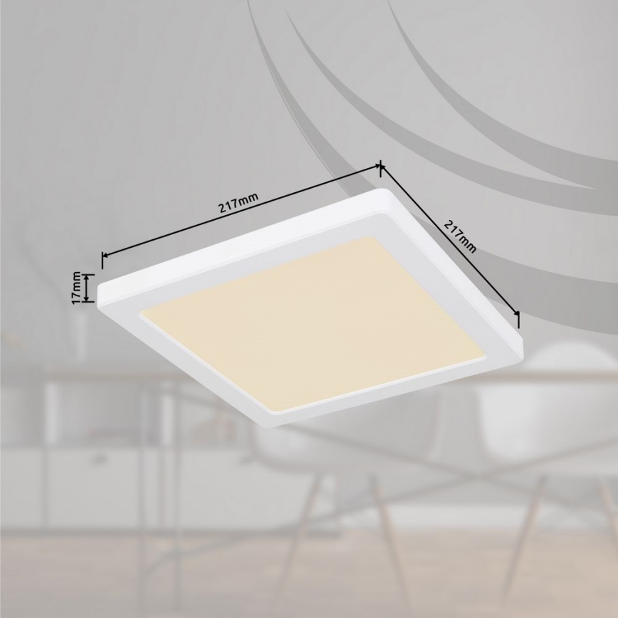 Globo - LED Stropné svietidlo LED/18W/230V 3000/4000/6500K biela