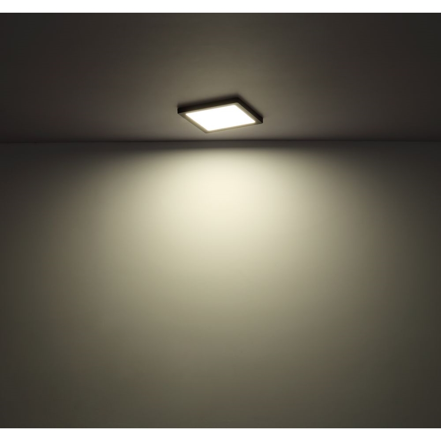 Globo - LED Stropné svietidlo LED/24W/230V 3000/4000/6500K čierna