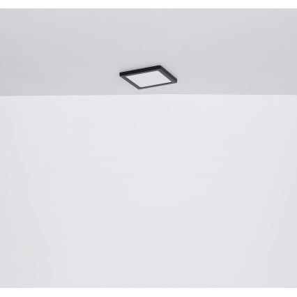 Globo - LED Stropné svietidlo LED/24W/230V 3000/4000/6500K čierna
