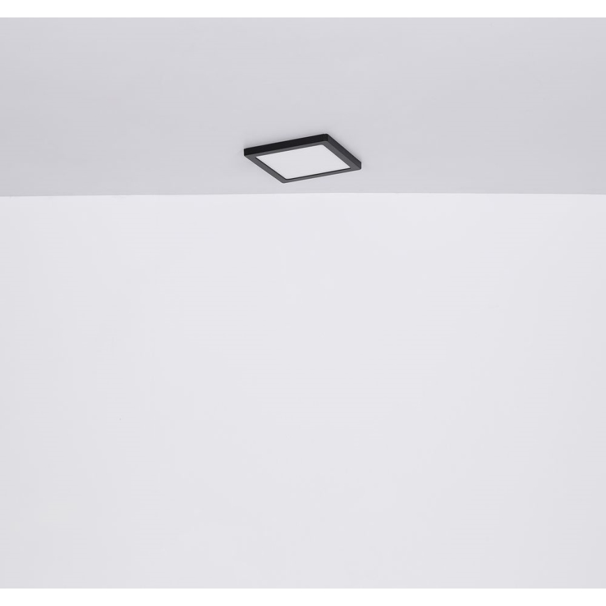 Globo - LED Stropné svietidlo LED/24W/230V 3000/4000/6500K čierna