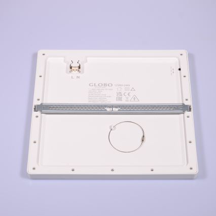 Globo - LED Stropné svietidlo LED/24W/230V 3000/4000/6500K biela