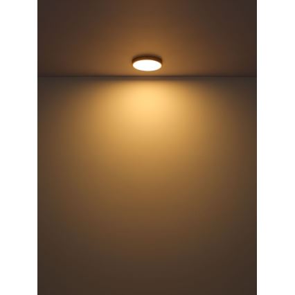 Globo - LED Stropné svietidlo LED/15W/230V pr. 25 cm