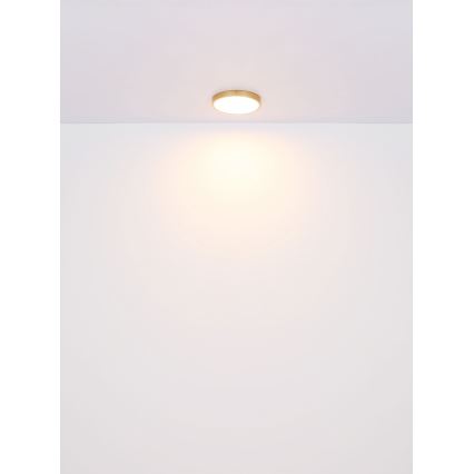 Globo - LED Stropné svietidlo LED/15W/230V pr. 25 cm