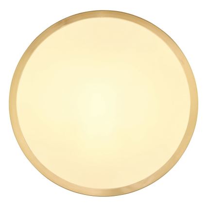 Globo - LED Stropné svietidlo LED/15W/230V pr. 25 cm