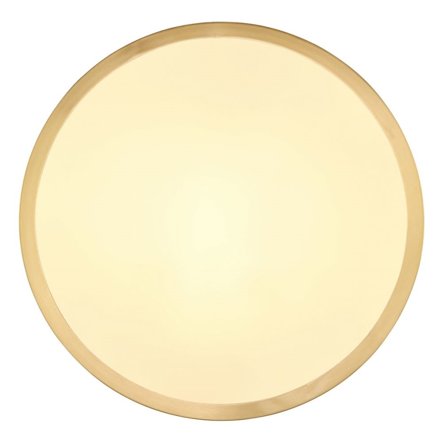 Globo - LED Stropné svietidlo LED/15W/230V pr. 25 cm