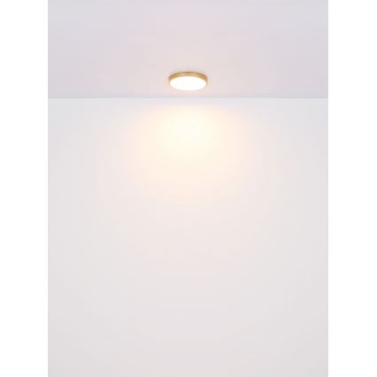 Globo - LED Stropné svietidlo LED/22W/230V pr. 35 cm