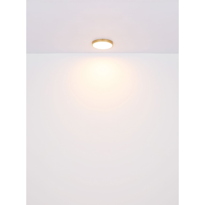 Globo - LED Stropné svietidlo LED/22W/230V pr. 35 cm