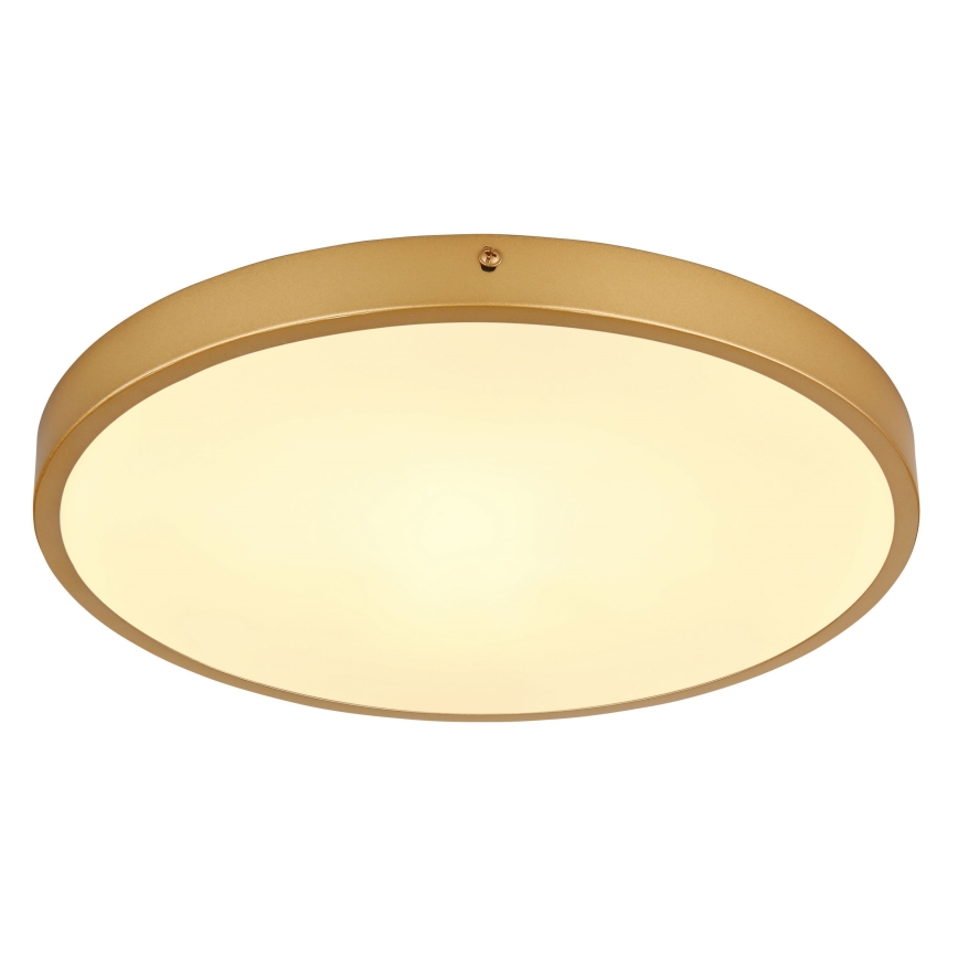 Globo - LED Stropné svietidlo LED/22W/230V pr. 35 cm