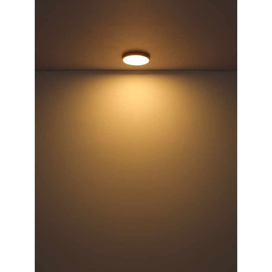 Globo - LED Stropné svietidlo LED/30W/230V pr. 45 cm