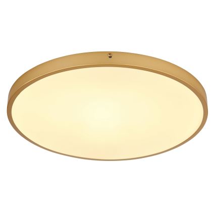 Globo - LED Stropné svietidlo LED/30W/230V pr. 45 cm