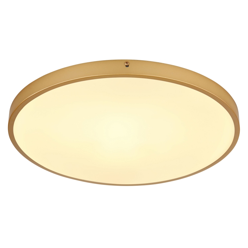 Globo - LED Stropné svietidlo LED/30W/230V pr. 45 cm