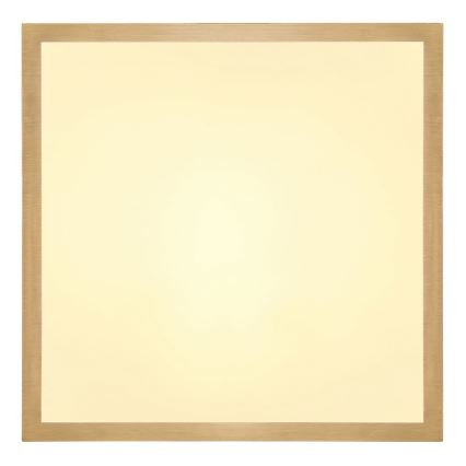 Globo - LED Stropné svietidlo LED/15W/230V 25x25 cm