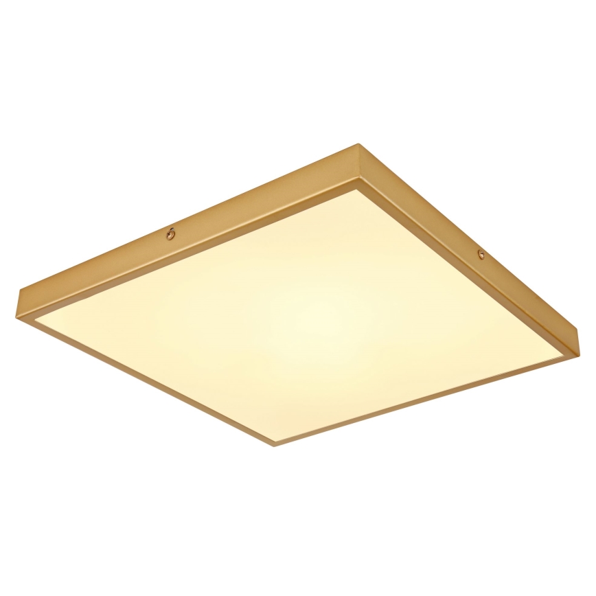 Globo - LED Stropné svietidlo LED/22W/230V 35x35 cm
