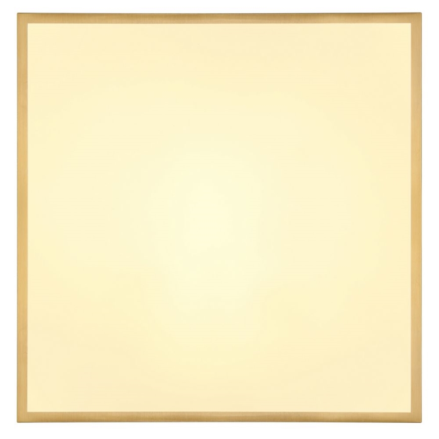 Globo - LED Stropné svietidlo LED/30W/230V 45x45 cm