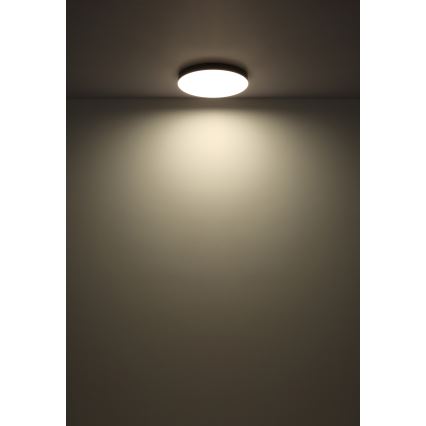 Globo - LED Stropné svietidlo LED/24W/230V 3000K/4000K/6500K pr. 30 cm čierna
