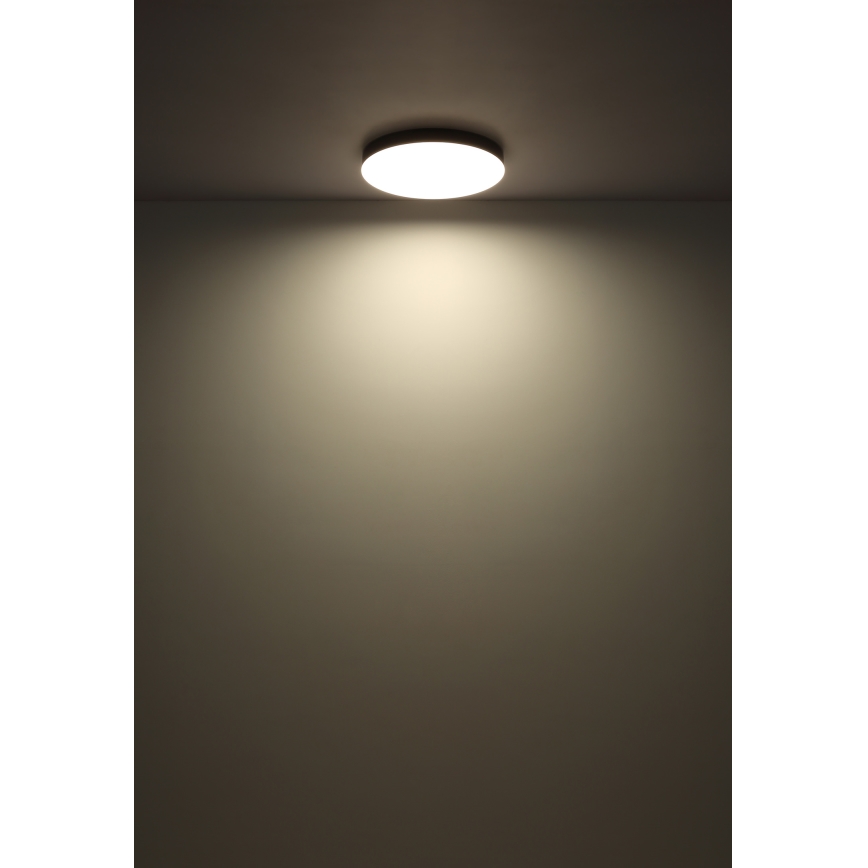 Globo - LED Stropné svietidlo LED/24W/230V 3000K/4000K/6500K pr. 30 cm čierna