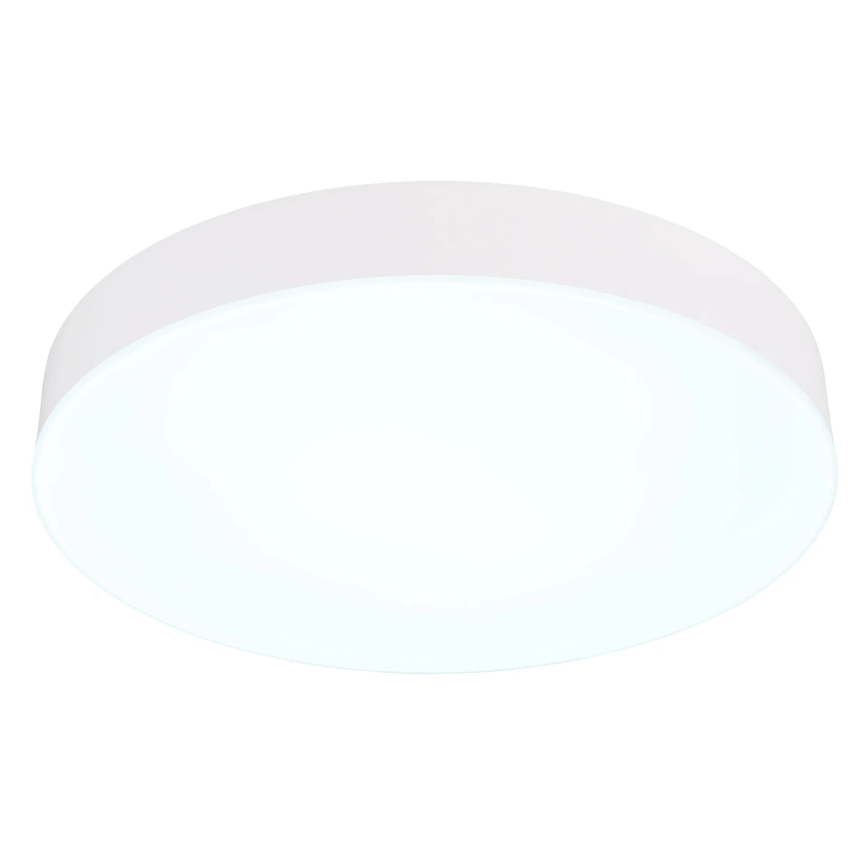 Globo - LED Stropné svietidlo LED/24W/230V 3000K/4000K/6500K pr. 30 cm biela