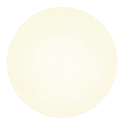 Globo - LED Stropné svietidlo LED/24W/230V 3000K/4000K/6500K pr. 30 cm biela