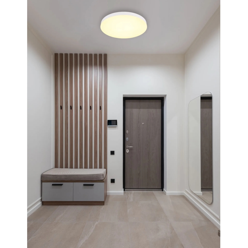 Globo - LED Stropné svietidlo LED/50W/230V 3000K/4000K/6500K pr. 50 cm biela