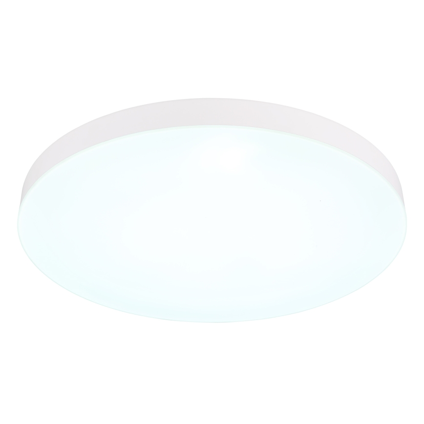 Globo - LED Stropné svietidlo LED/50W/230V 3000K/4000K/6500K pr. 50 cm biela