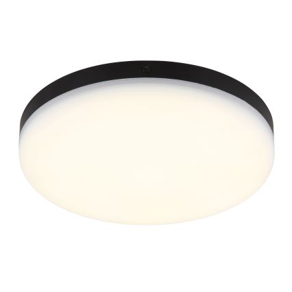 Globo - LED Stropné svietidlo LED/12W/230V 4000K pr. 22 cm čierna