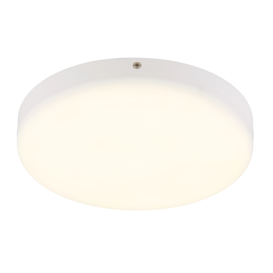 Globo - LED Stropné svietidlo LED/12W/230V 4000K pr. 22 cm biela