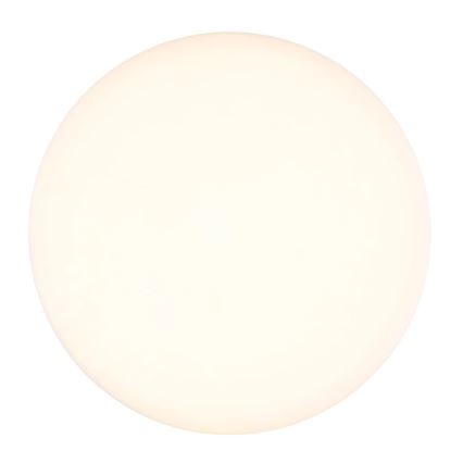 Globo - LED Stropné svietidlo LED/12W/230V 4000K pr. 22 cm biela