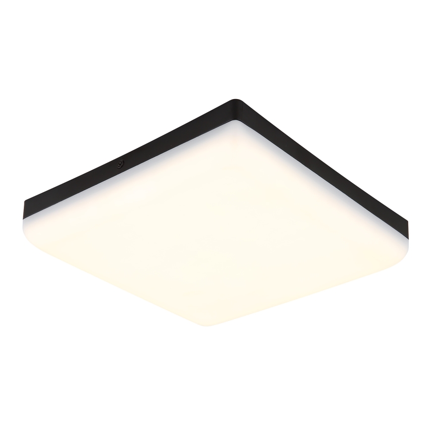 Globo - LED Stropné svietidlo LED/12W/230V 4000K 22x22 cm čierna