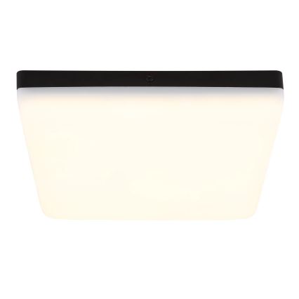Globo - LED Stropné svietidlo LED/12W/230V 4000K 22x22 cm čierna