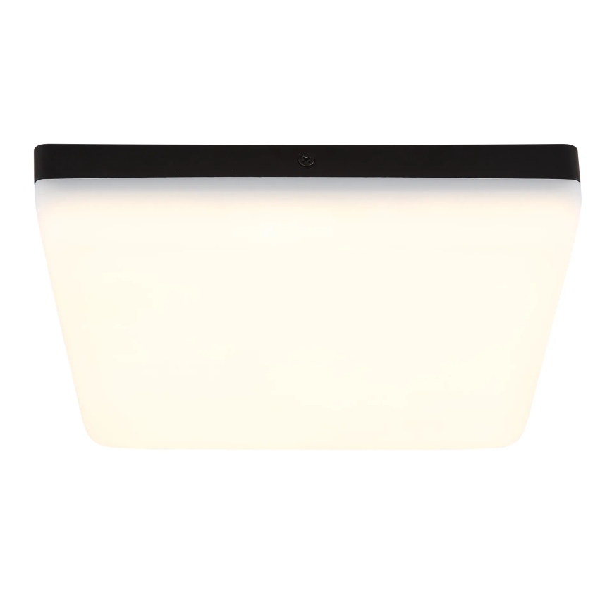 Globo - LED Stropné svietidlo LED/12W/230V 4000K 22x22 cm čierna