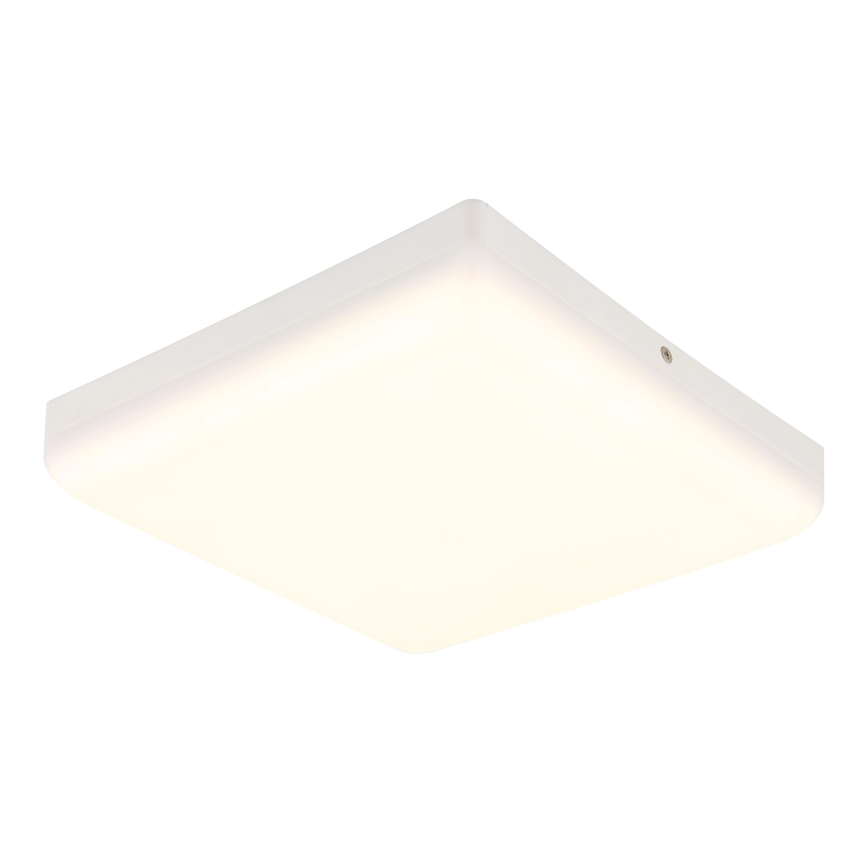 Globo - LED Stropné svietidlo LED/12W/230V 4000K 22x22 cm biela