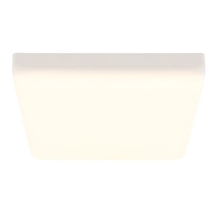 Globo - LED Stropné svietidlo LED/12W/230V 4000K 22x22 cm biela